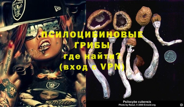 винт Алексеевка