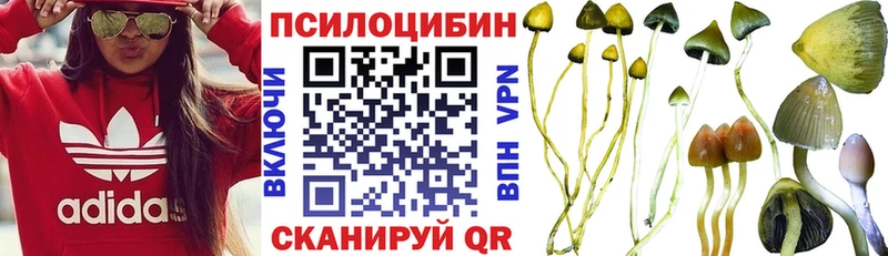 где найти наркотики  Ленинск  Псилоцибиновые грибы Psilocybine cubensis 